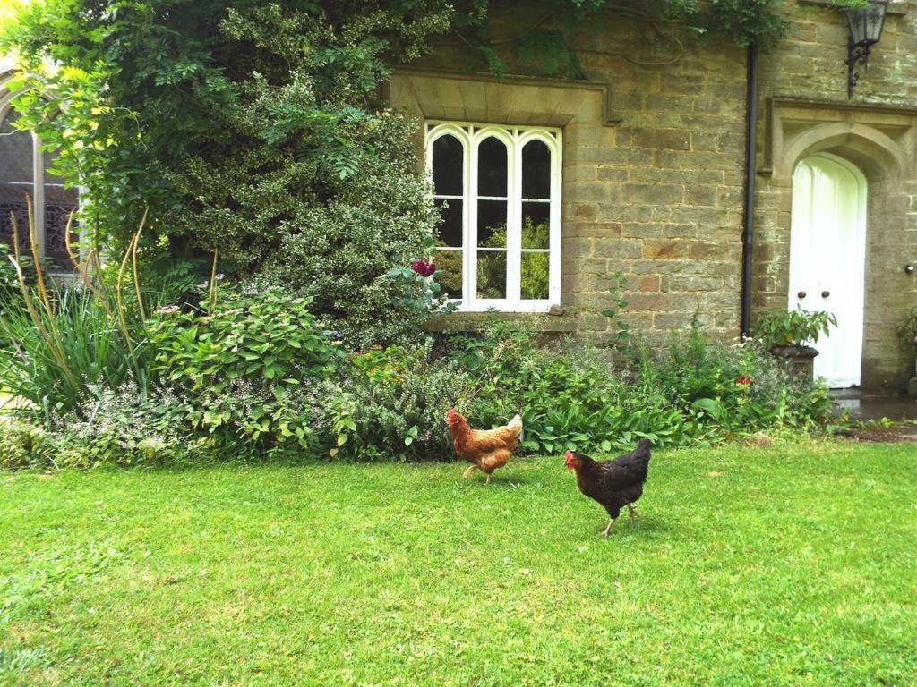 Old Vicarage B&B Coleford  Buitenkant foto