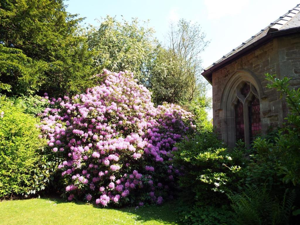 Old Vicarage B&B Coleford  Buitenkant foto